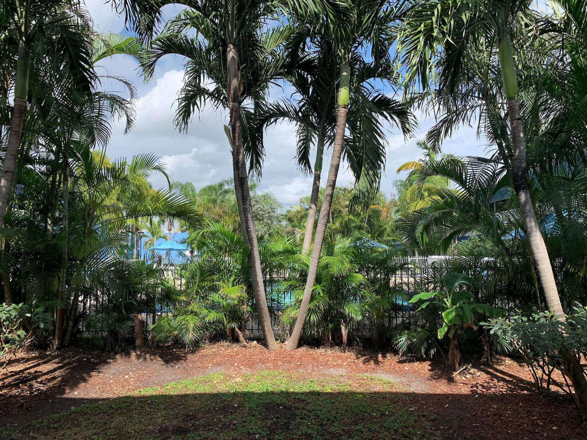 Rodeway Inn & Suites Fort Lauderdale Airport & Cruise Port Dania Beach Exterior foto